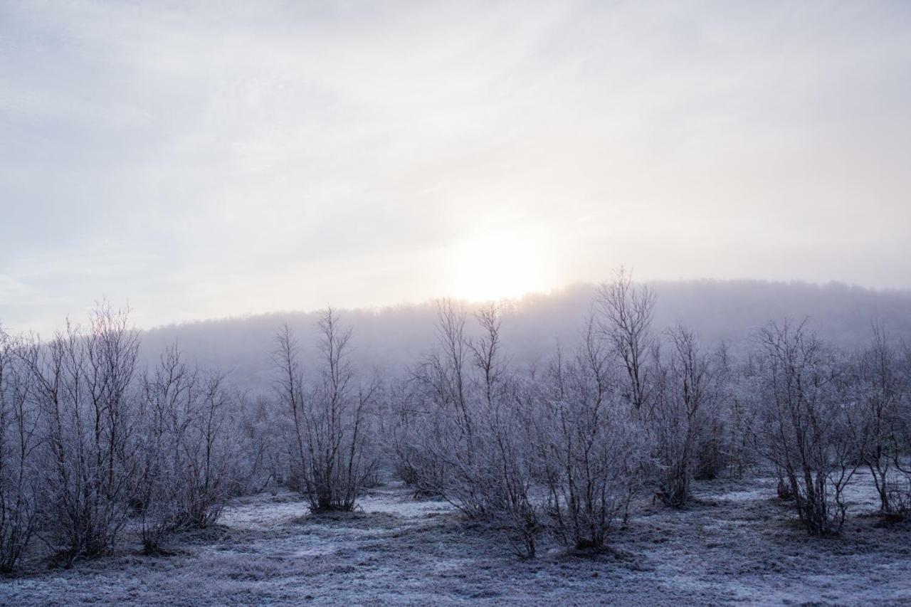 Lohi-aslakin Lomamoekit Utsjoki